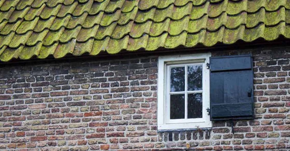 moss-house-roof-c