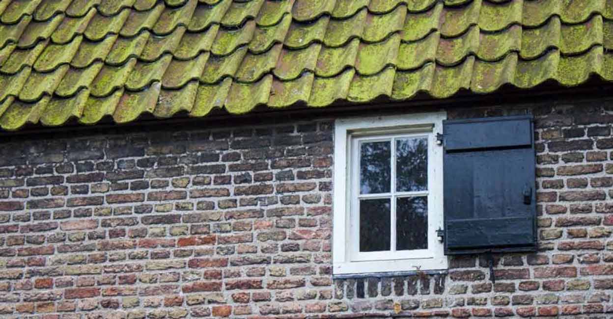 moss-house-roof-c