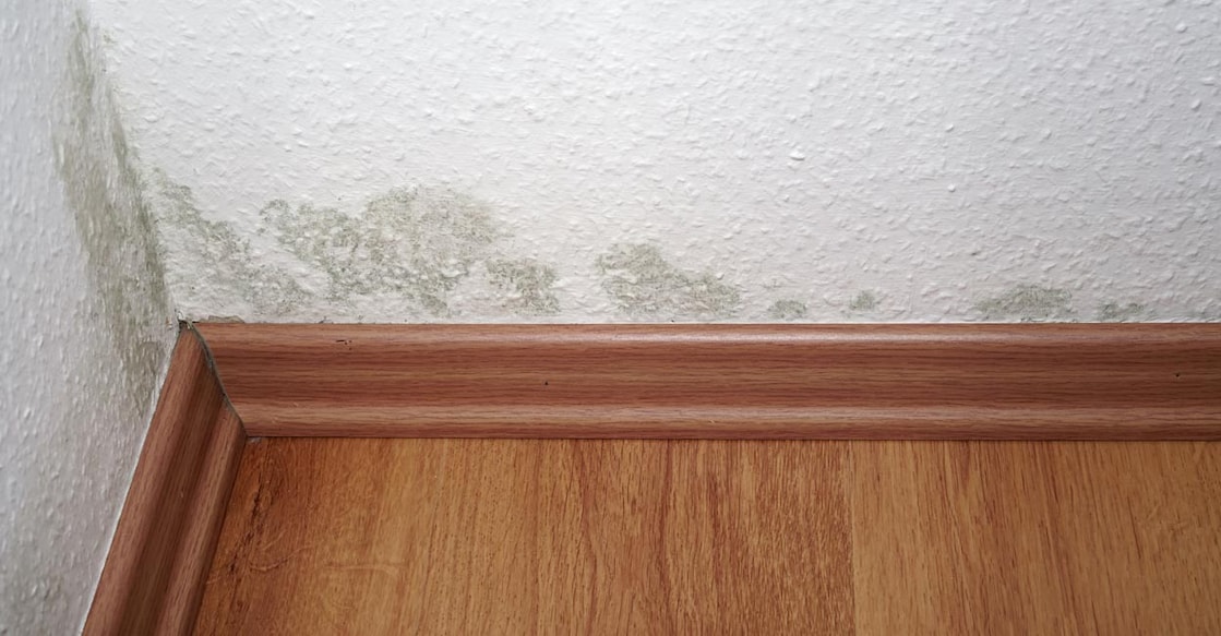 wall