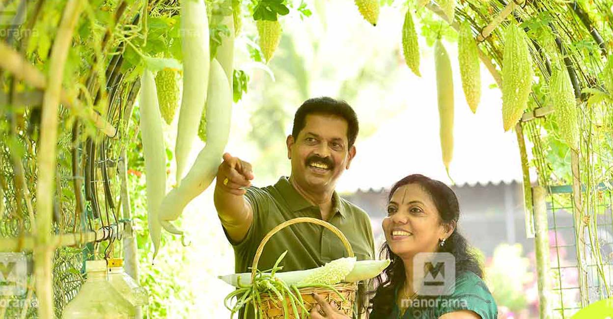 Meet Vidyasarang and Beena, the power couple from Kayamkulam who revolutionised ‘home’ garden