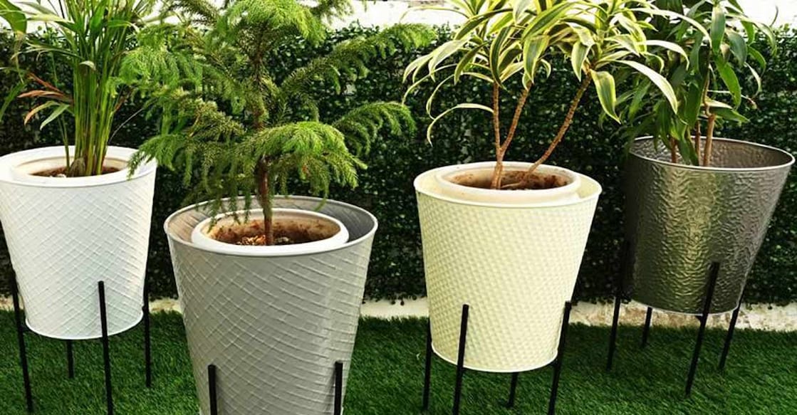 The concept of 'green corners' in every room can breathe life and serenity into your home. Photo: IANS