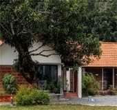 Quaint Kollam home that blends tradition and modernity