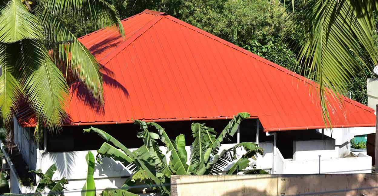 Representational image. Photo: AjayTvm / shutterstock
