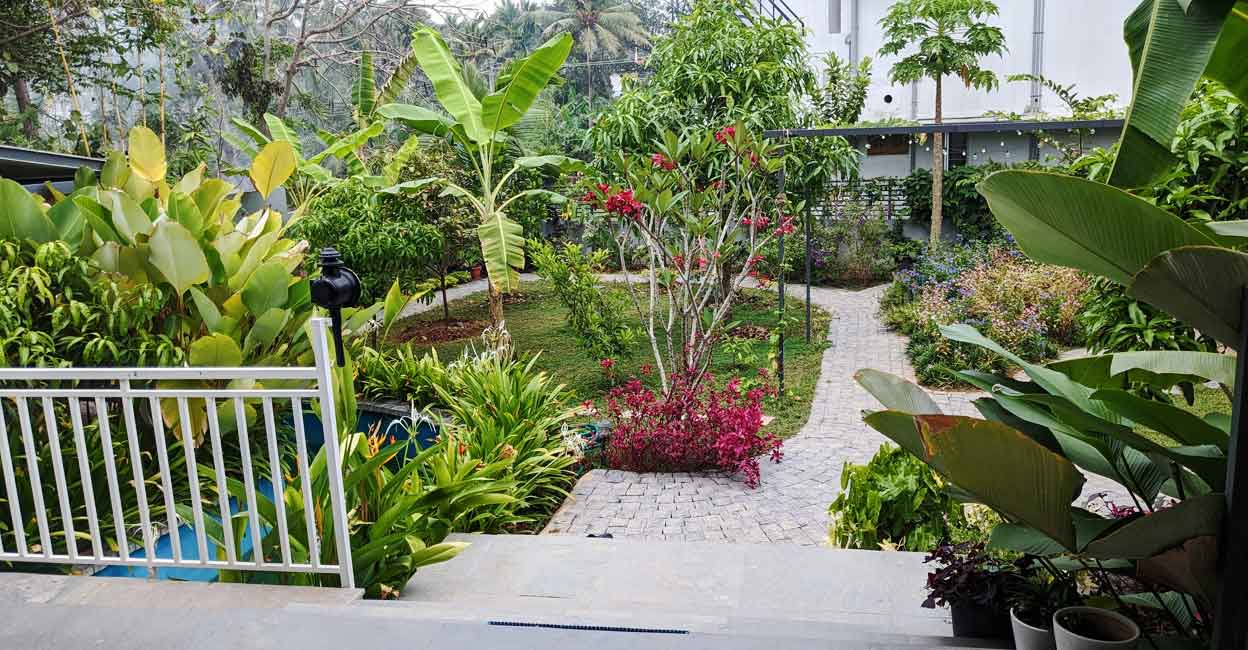 garden-house-tvm-scape garden-house-tvm-scape