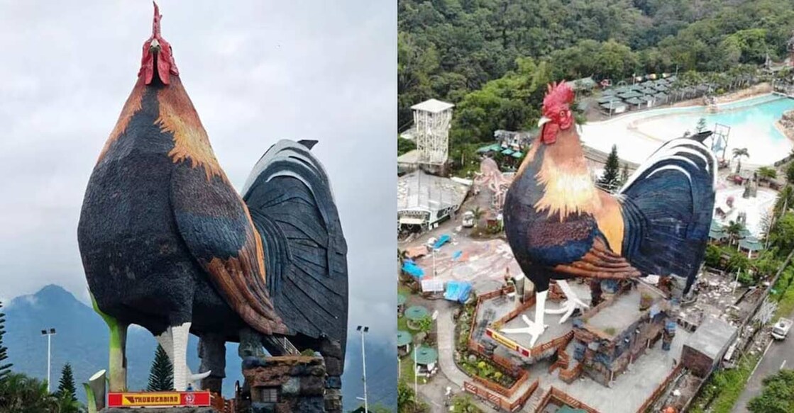 Each part of the building replicates the colours of a real rooster. Photo: instagram.com/guinnessworldrecords