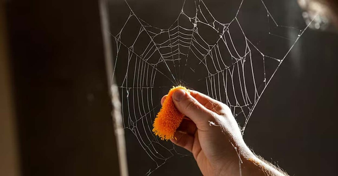 Cobwebs accumulate dirt and dust, which takes away the beauty of the house. AI-generated image used for representational purpose