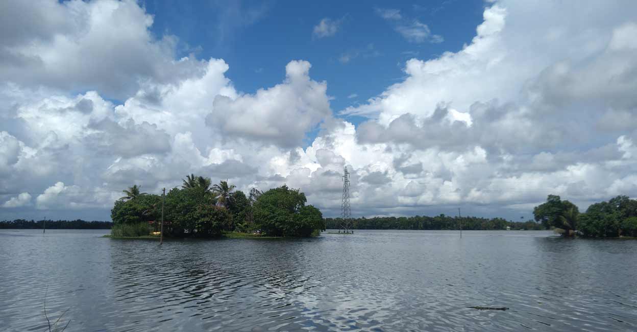 Kuttanad, Kerala. Photo: Ann Rochyne Thomas