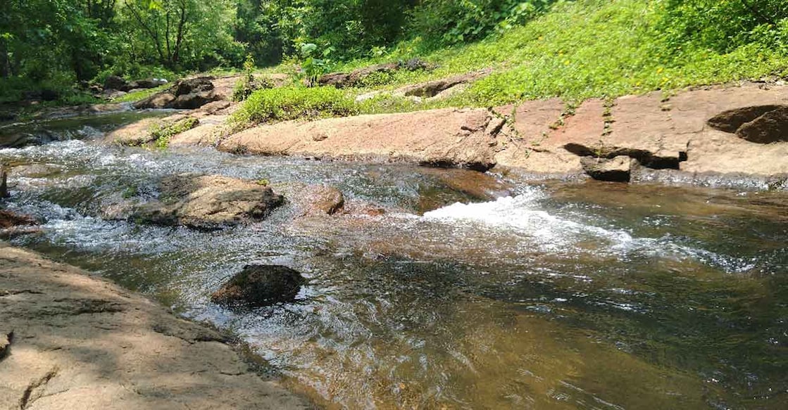 stream Assigning a 'value' to natural capital in terms that the government and market can understand will prevent nature from being pushed to the bottom of their priority list. Photo: Ann Rochyne Thomas