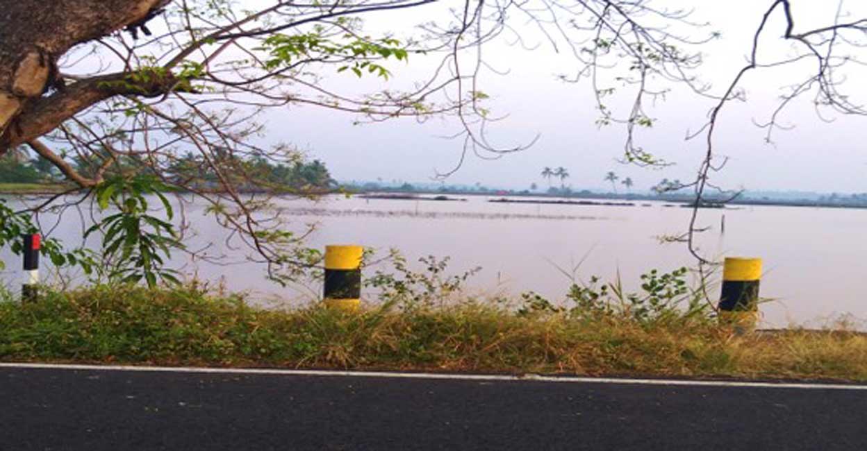 Urban soil delivers a wide range of ecosystem services. Photo: Ann Rochyne Thomas