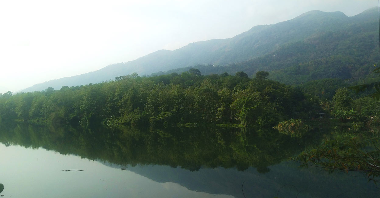 A lake in the bustling village of Kudayathoor, Kerala. Far from being isolated, the lake flows parallel to a state highway, that runs adjacent to businesses and residences. 
Photo: Ann Rochyne Thomas.