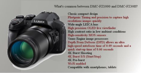 Panasonic lumix common features