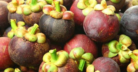 10 Fruit bearing trees for your home garden