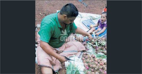 Shanto harvesting onions from his farm