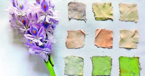 Natural dye from water hyacinth project brings laurels for SD College