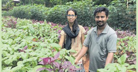 Farm, eat and love: How farming sowed the seeds of destiny