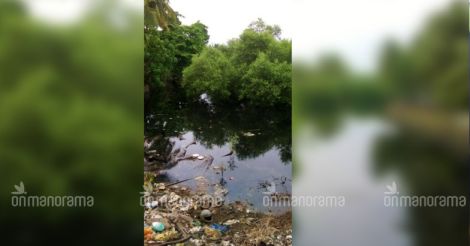 Polluted waterbody in Kallai