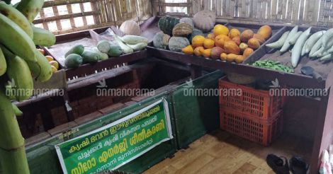 A panchayat munches on the organic to keep cancer at bay