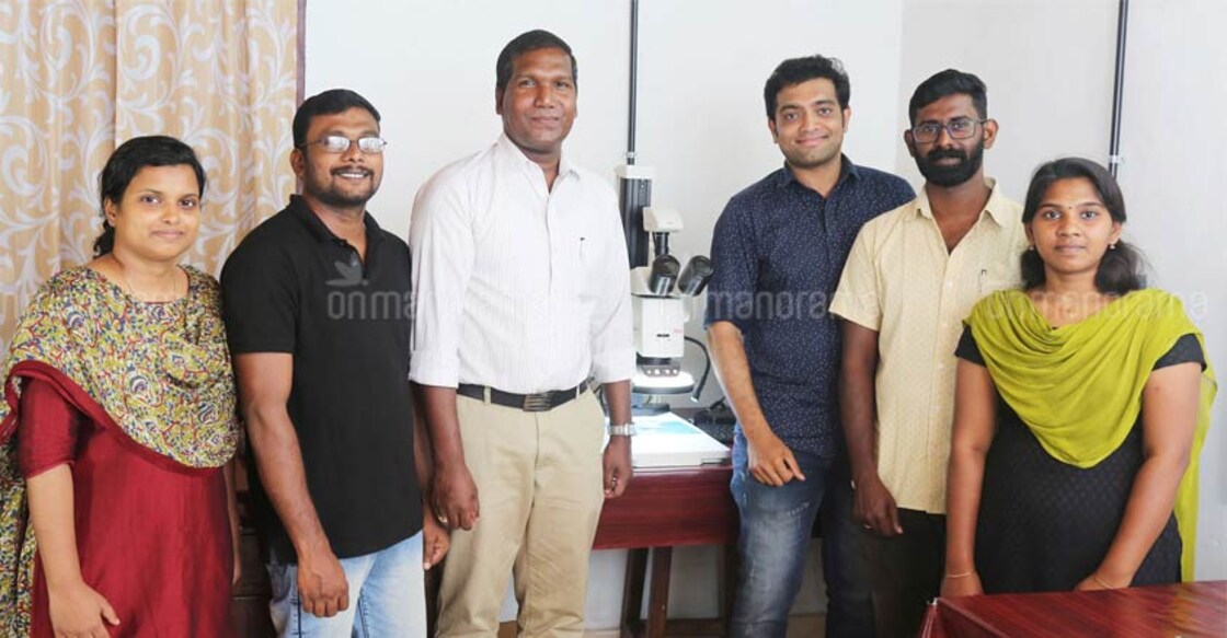 Kerala researchers to present new spider species to the world