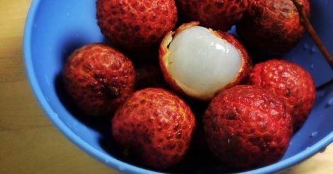 Is eating litchis fatal for kids? A defogger for worried parents