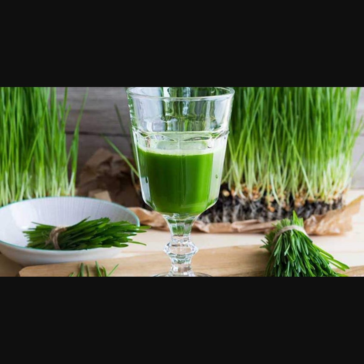 Why this juice is deemed a wonder health drink | Wheat grass juice | health  | Onmanorama | healthcare | well being | nutrition | food | protein