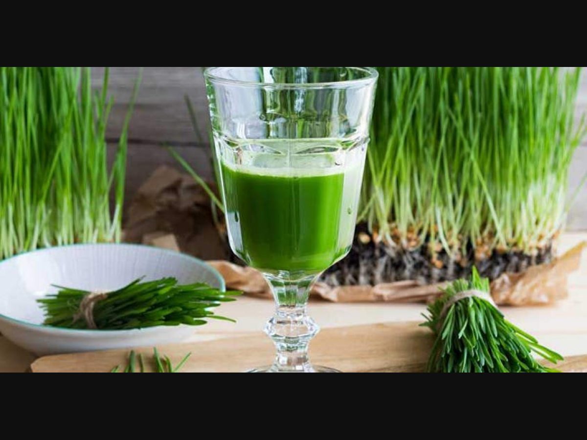 Why this juice is deemed a wonder health drink | Wheat grass juice | health  | Onmanorama | healthcare | well being | nutrition | food | protein