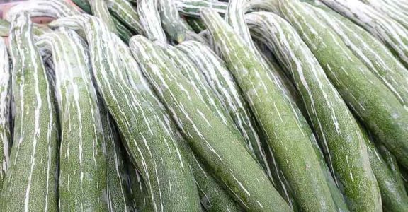 snake-gourd-health-benefits snake-gourd-health-benefits