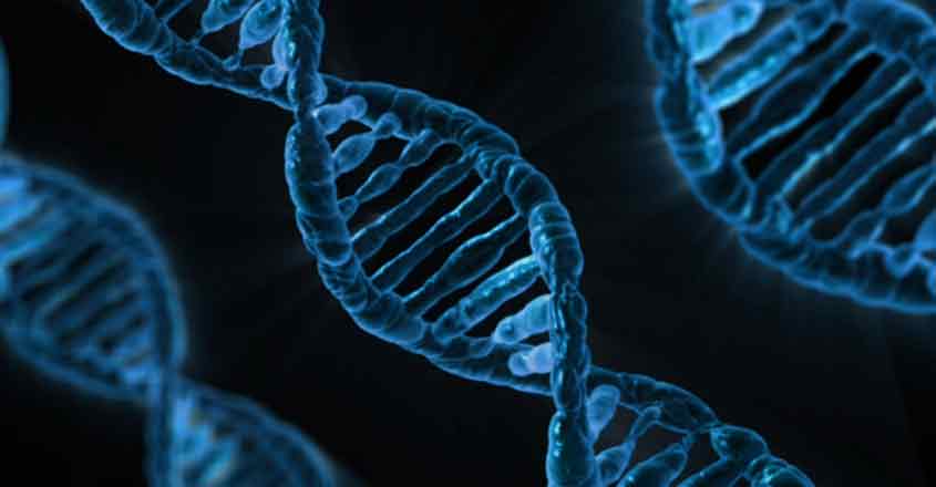 gene