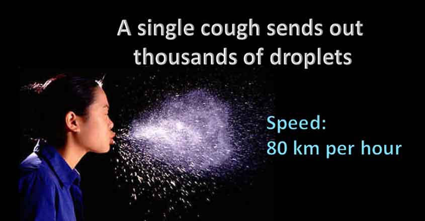 single-cough-nippah-01 single-cough-nippah-01