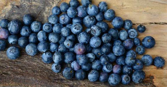 Blueberries. Blueberries.