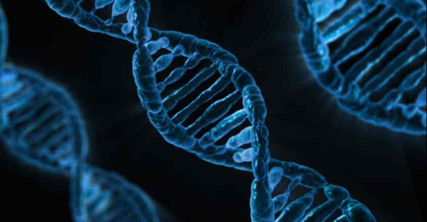 IIT-H researchers unravel working of protein that mends DNA
