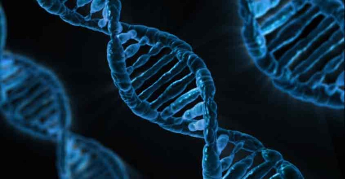 IIT-H researchers unravel working of protein that mends DNA IIT-H researchers unravel working of protein that mends DNA