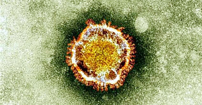 Coronavirus Coronavirus