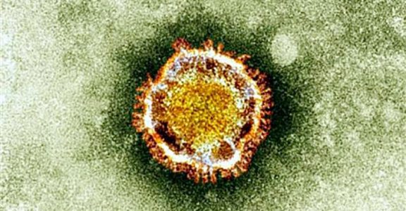 All you need to know about coronavirus: Airports in India on high alert, 9 dead in China All you need to know about coronavirus: Airports in India on high alert, 9 dead in China