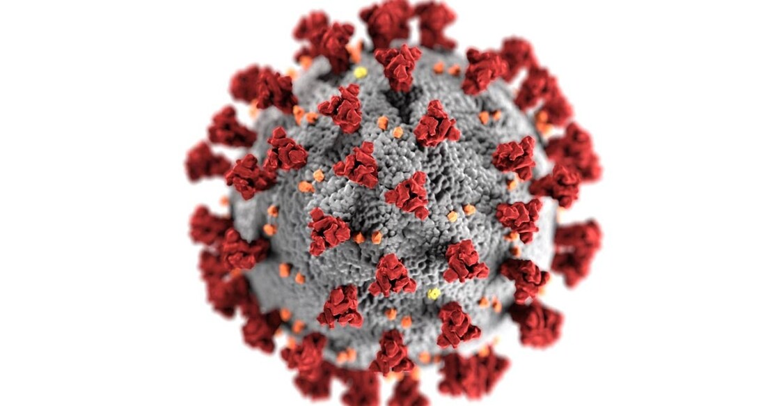 coronavirus