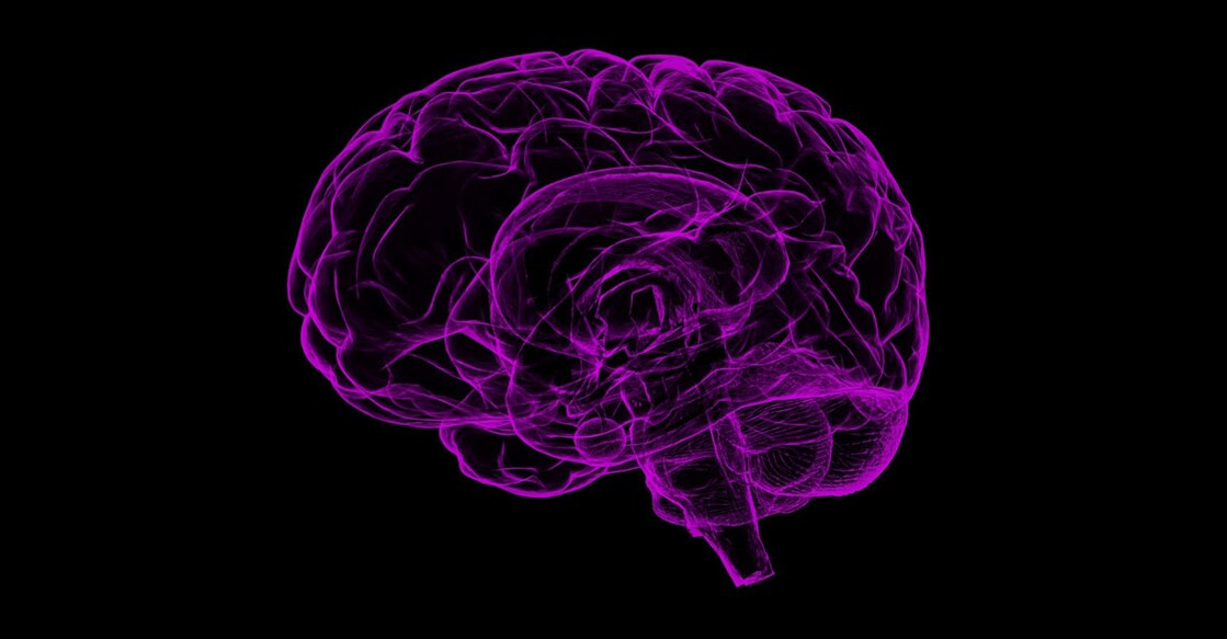 human-brain human-brain