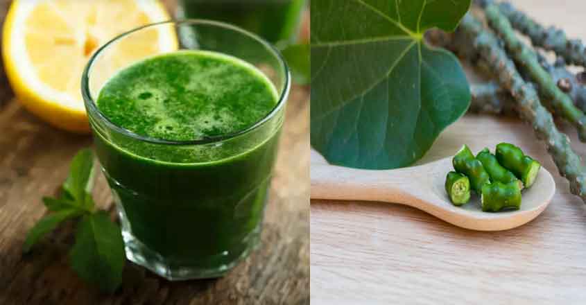 Boost your immunity with juice of giloy, a common herb in
