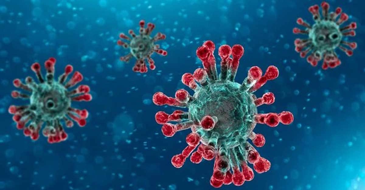 coronavirus, coronavirus,