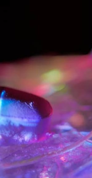 Bengaluru drug case: Asst Commissioner, head constable suspended for leaking info to drug-traffickers Bengaluru drug case: Asst Commissioner, head constable suspended for leaking info to drug-traffickers