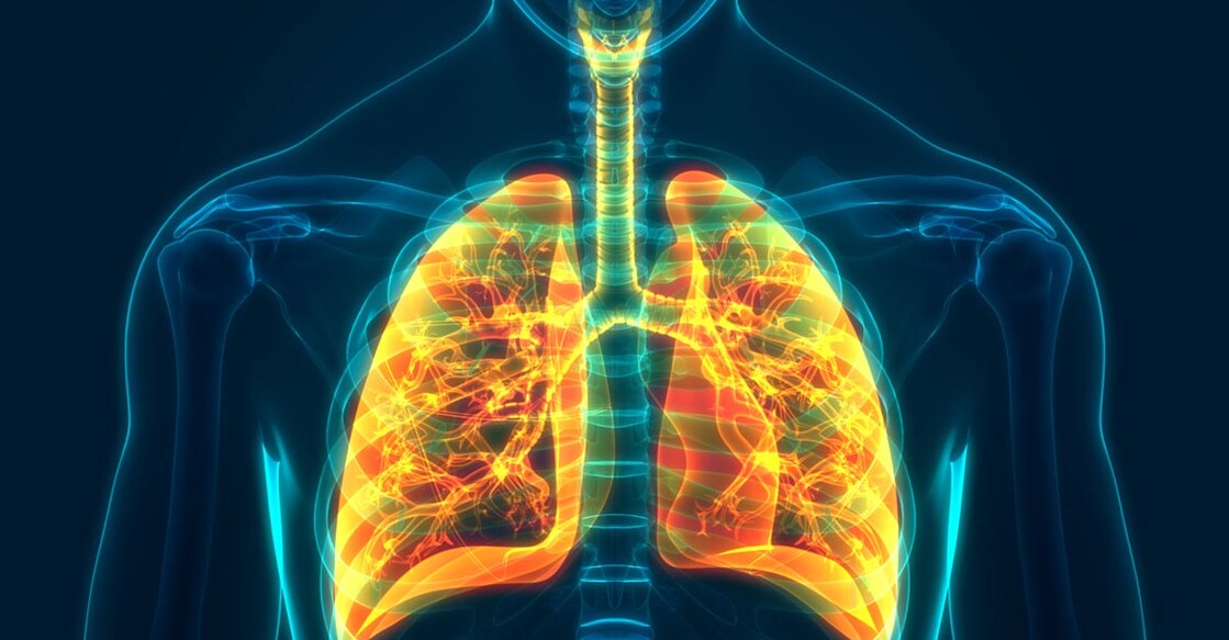 lungs