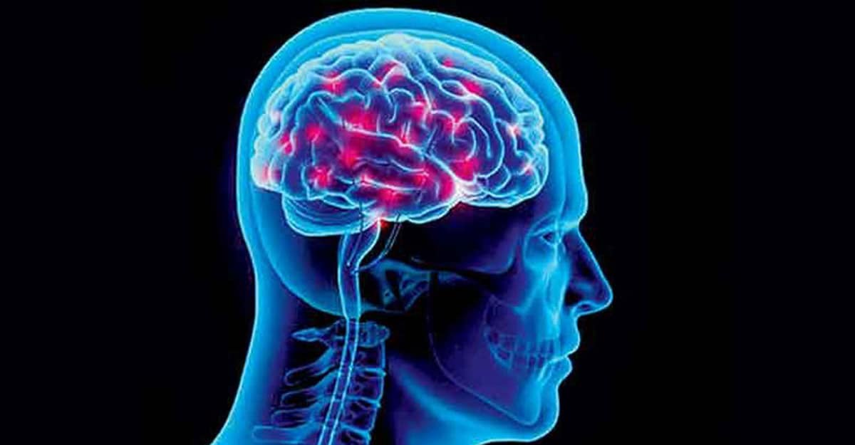 brain graphic brain graphic