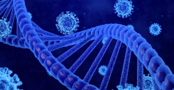 Europeans, South Asians have different genetic correlations with Covid outcomes Europeans, South Asians have different genetic correlations with Covid outcomes