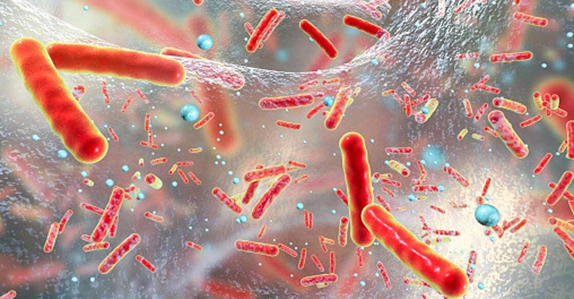 Scientists find mechanism how penicillin can kill MRSA superbug.(photo:pixabay.com) Representational image: IANS