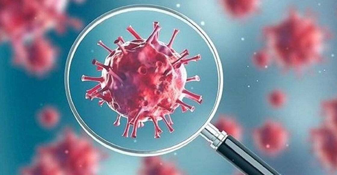 coronavirus. Representational image: IANS