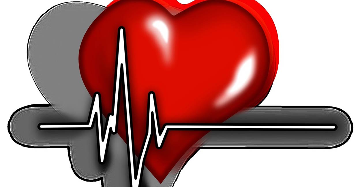 Heart. Photo: IANS/Representative image