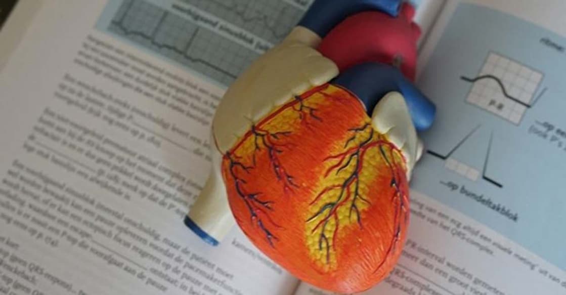 Adopt a simple and affordable lifestyle to prevent heart attacks .(photo;IANSLIFE) Photo: IANS/Representational image