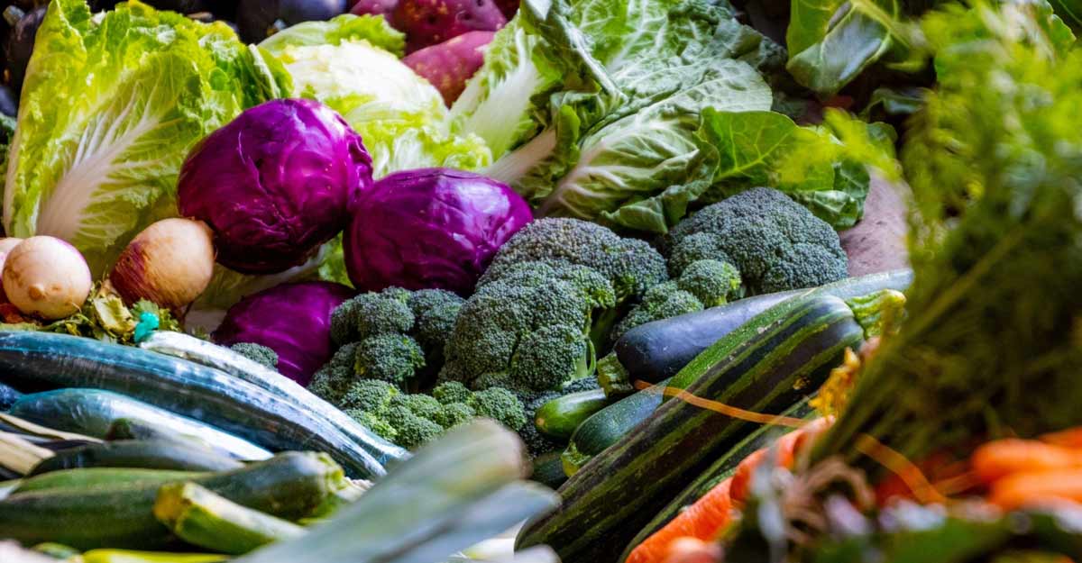 Healthy foods. The adoption of diets, such as the Mediterranean diet (MIND), are characterized by high intakes of plant-based foods. Image courtesy: IANS