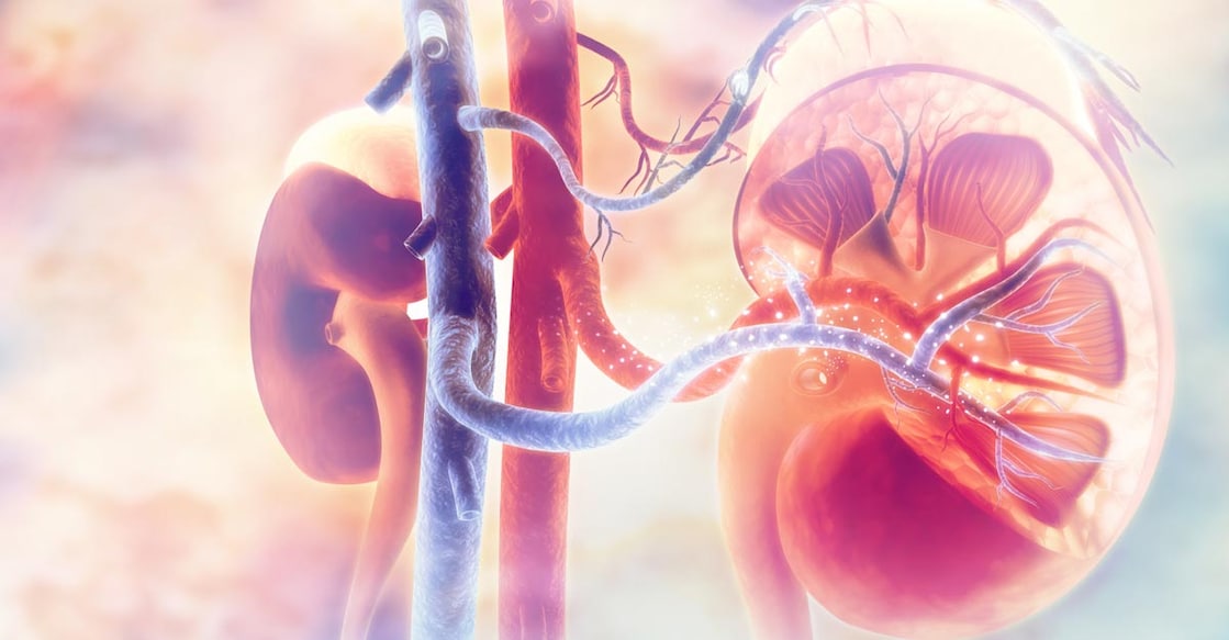 kidney health kidney health