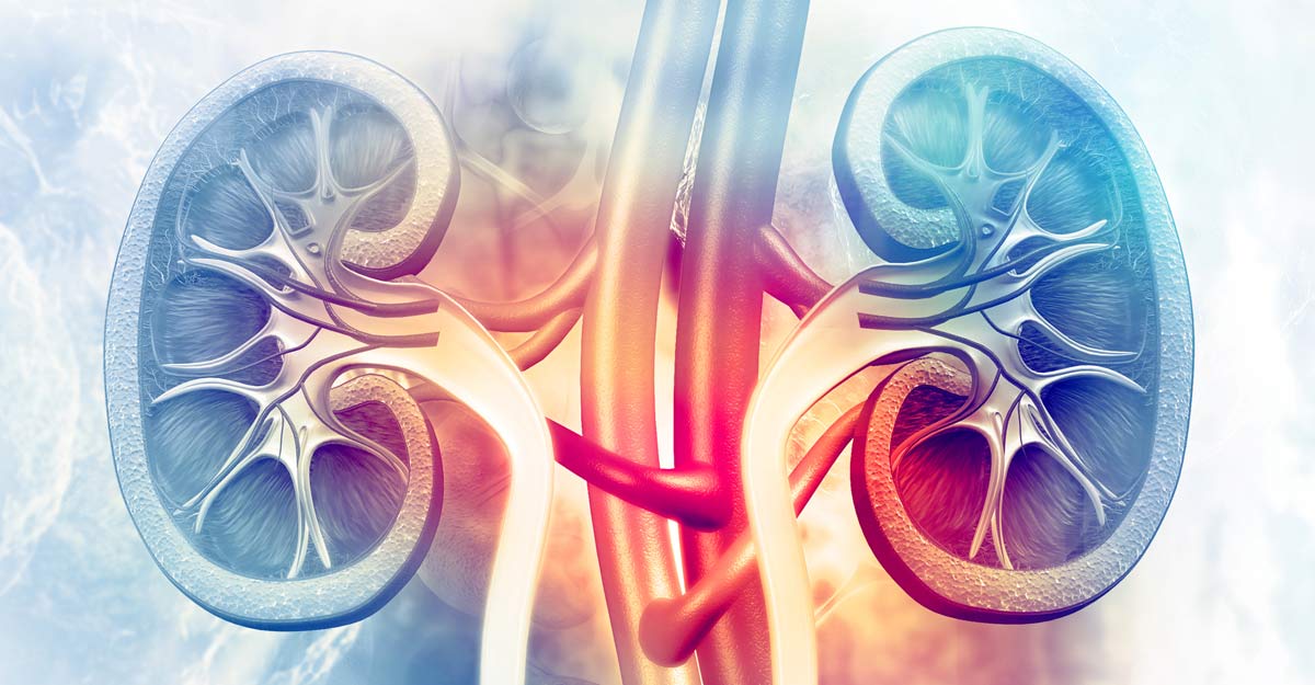 The biggest problem of suffering from kidney disease is that it majorly goes undetected. Image courtesy: crystal light / Shutterstock