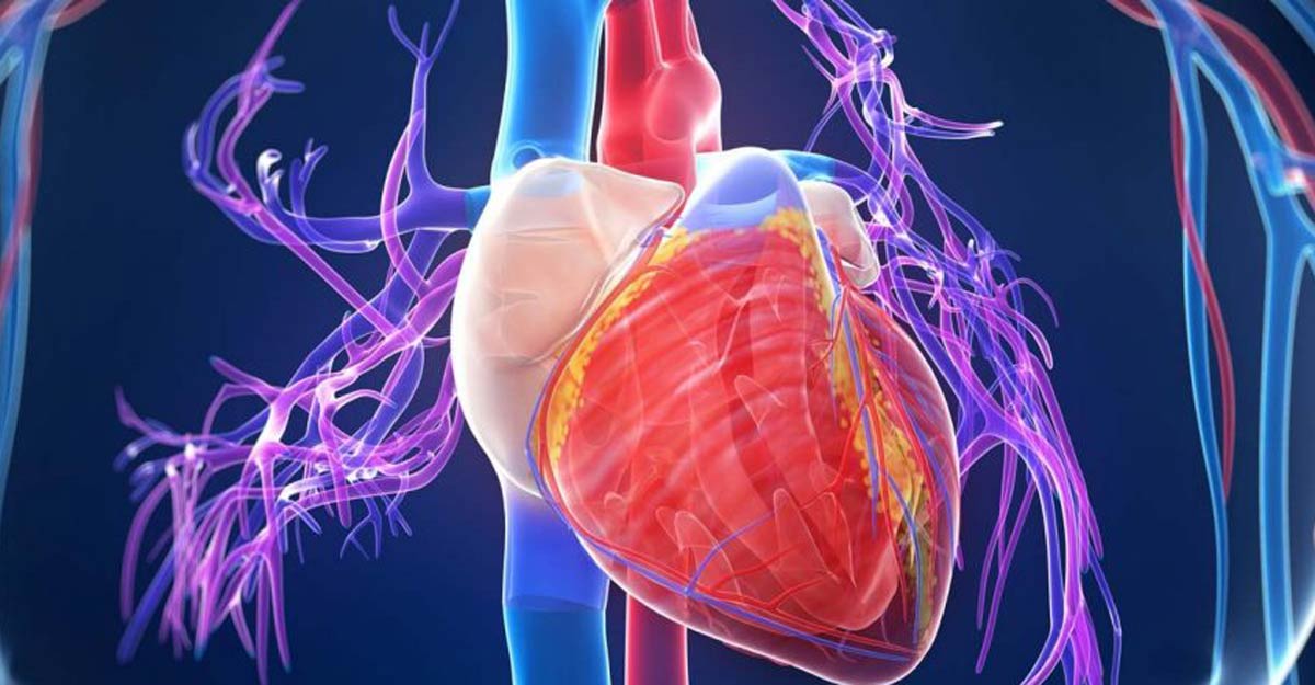 heart health heart health