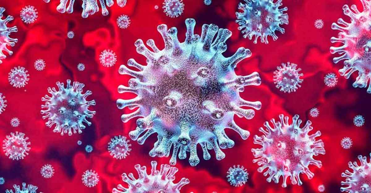 Researchers found that several genes responsible for the immune system's response to COVID-19 are also involved in COVID-19 susceptibility. Image courtesy: Lightspring/Shutterstock
